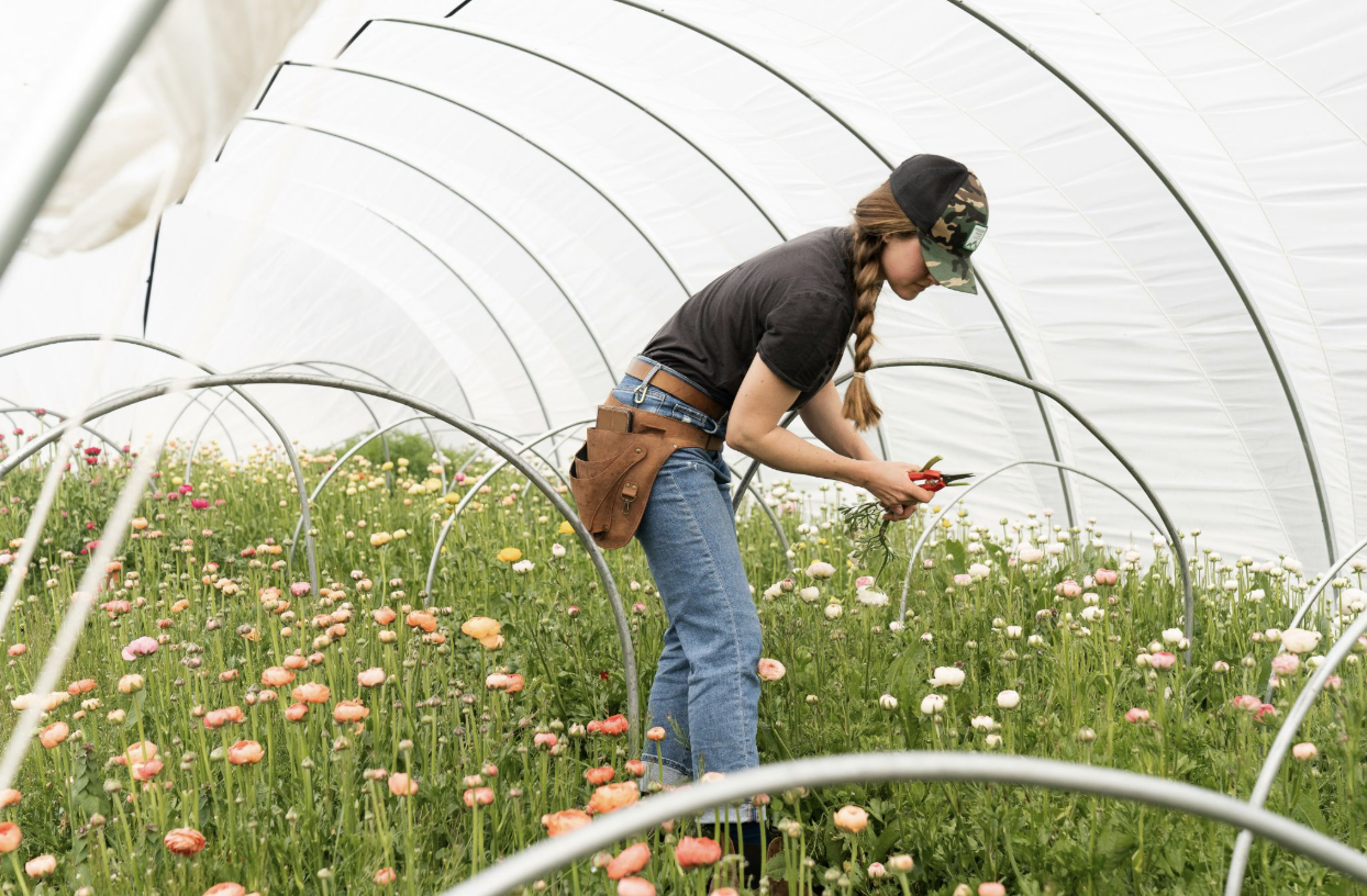 The Floral Business Activator | Floral Startup