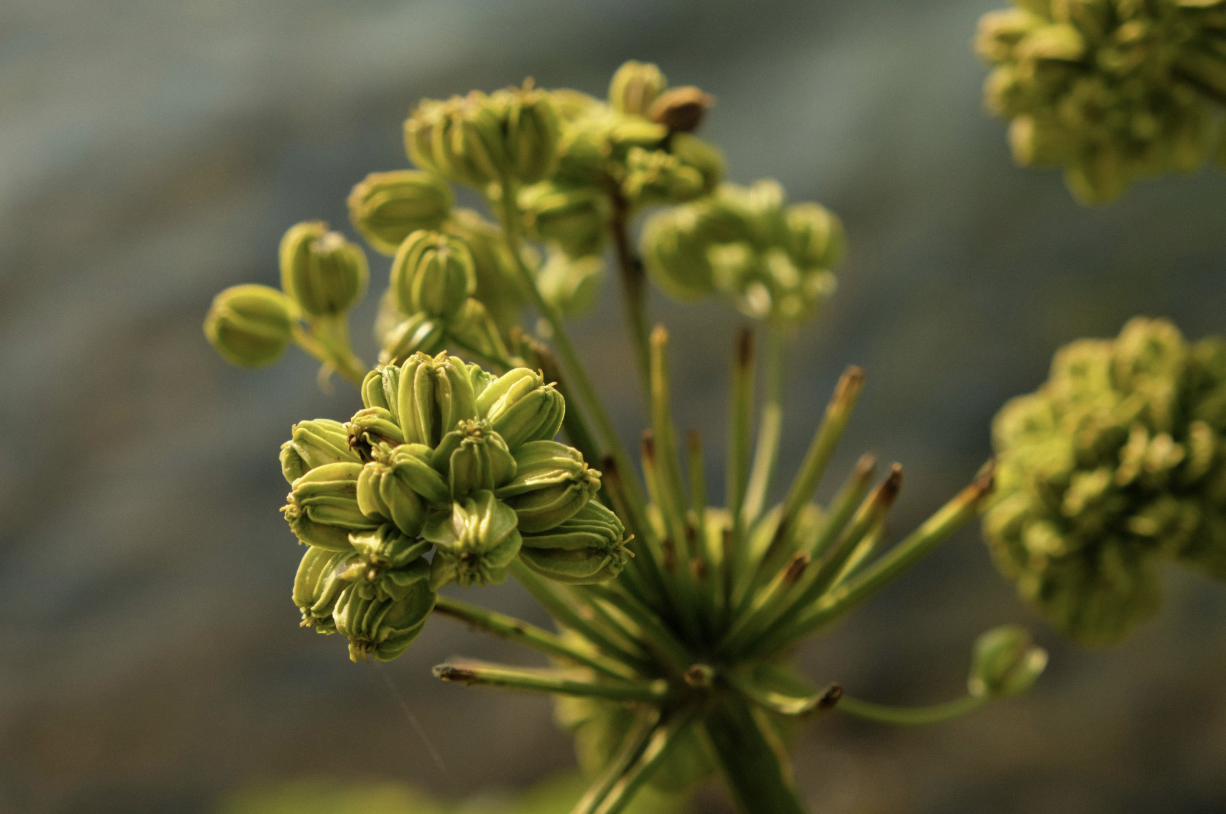Floral Upstart Blog | Floral Business Activator