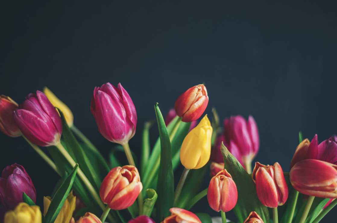 Floral Business Activator | Floral Upstart Blog