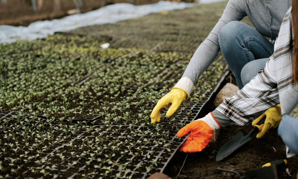 Floral Business Activator | Floral Upstart